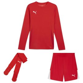 Puma teamGoal Trikotsatz langarm Kinder 3-teilig Langarmtrikot Shorts Sockenstutzen