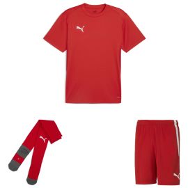 Puma teamGoal Trikotsatz Herren Damen 3-teilig Fussball Trikot Fussballshort Core Sockenstutzen