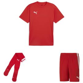Puma teamGoal Trikotsatz Herren Damen 3-teilig Fussball Trikot Fussballshort Sockenstutzen