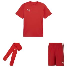 Puma teamGoal Trikotsatz Herren Damen 3-teilig Fussball Trikot Fussballshort Sockenstutzen
