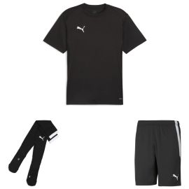 Puma teamGoal Trikotsatz Kinder 3-teilig Fussball Trikot Fussballshort Sockenstutzen