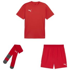 Puma teamGoal Trikotsatz Herren Damen 3-teilig Fussball Trikot Short Core Sockenstutzen