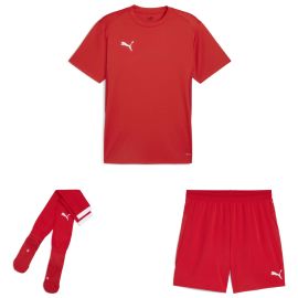 Puma teamGoal Trikotsatz Herren Damen 3-teilig Fussball Trikot Short Sockenstutzen
