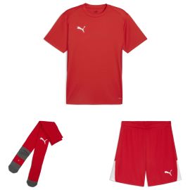Puma teamGoal Trikotsatz Herren Damen 3-teilig Fussball Trikot Shorts Core Sockenstutzen