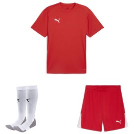 Puma teamGoal Trikotsatz Herren Damen 3-teilig Fussball Trikot Shorts Sockenstutzen