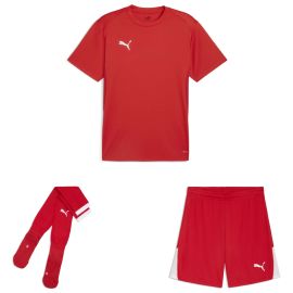 Puma teamGoal Trikotsatz Herren Damen 3-teilig Fussball Trikot Shorts Sockenstutzen