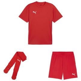 Puma teamGoal Trikotsatz Herren Damen 3-teilig Fussball Trikot Shorts Sockenstutzen