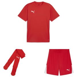 Puma teamGoal Trikotsatz Herren Damen 3-teilig Fussball Trikot Shorts Sockenstutzen