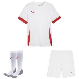 Puma teamGoal Trikotsatz Kinder 3-teilig Matchday Trikot Shorts Sockenstutzen