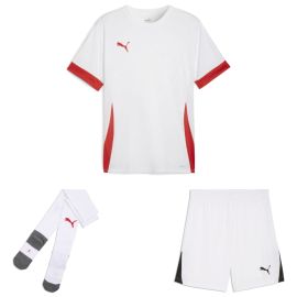 Puma teamGoal Trikotsatz Kinder 3-teilig Matchday Trikot Shorts Core Sockenstutzen
