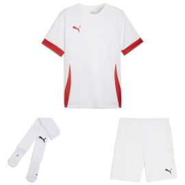 Puma teamGoal Trikotsatz Kinder 3-teilig Matchday Trikot Shorts Sockenstutzen