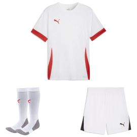 Puma teamGoal Trikotsatz Kinder 3-teilig Matchday Trikot Shorts Sockenstutzen