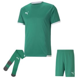 Puma Trikotsatz Team Liga Kinder 3-teilig Fussball Trikot Fussballshort Core Sockenstutzen