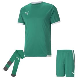 Puma Trikotsatz Team Liga Kinder 3-teilig Fussball Trikot Fussballshort Core Sockenstutzen