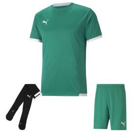 Puma Trikotsatz Team Liga Herren Damen 3-teilig Fussball Trikot Fussballshort Sockenstutzen