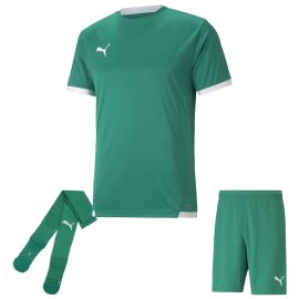 Puma Trikotsatz Team Liga Herren Damen 3-teilig Fussball Trikot Fussballshort Sockenstutzen