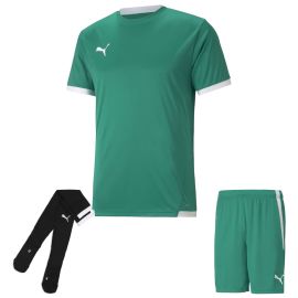 Puma Trikotsatz Team Liga Kinder 3-teilig Fussball Trikot Fussballshort Sockenstutzen