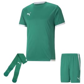 Puma Trikotsatz Team Liga Kinder 3-teilig Fussball Trikot Fussballshort Sockenstutzen