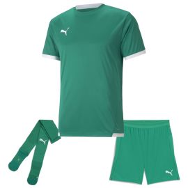 Puma Trikotsatz Team Liga Herren Damen 3-teilig Fussball Trikot Short Sockenstutzen