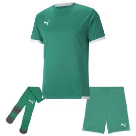 Puma Trikotsatz Team Liga Herren Damen 3-teilig Fussball Trikot Shorts Core Sockenstutzen