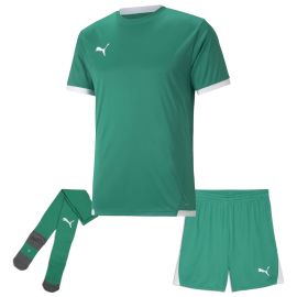 Puma Trikotsatz Team Liga Herren Damen 3-teilig Fussball Trikot Shorts Core Sockenstutzen