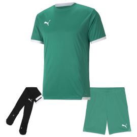 Puma Trikotsatz Team Liga Herren Damen 3-teilig Fussball Trikot Shorts Sockenstutzen