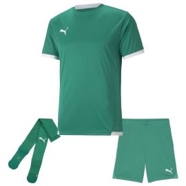 Puma Trikotsatz Team Liga Herren Damen 3-teilig Fussball Trikot Shorts Sockenstutzen