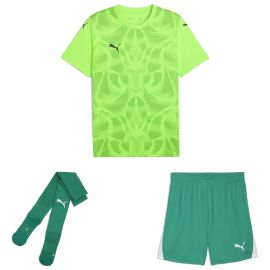 Puma Trikotsatz teamULTIMATE Herren Damen 3-teilig Fussball Trikot Shorts Sockenstutzen