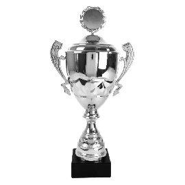 Pokal AK5135 inkl.30 Buchstaben Gravur silber