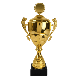 Pokal inklusiv 30 Buchstaben Gravur gold