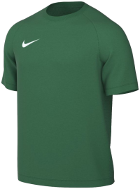Nike Park Trikot VIII