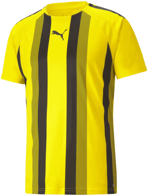 Puma Fussball Trikot Team Liga Striped