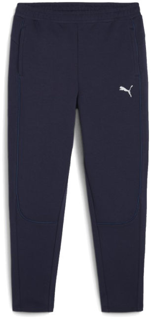 Puma teamFinal Casual Hose