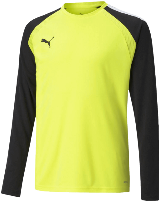 Puma torwarttrikot discount