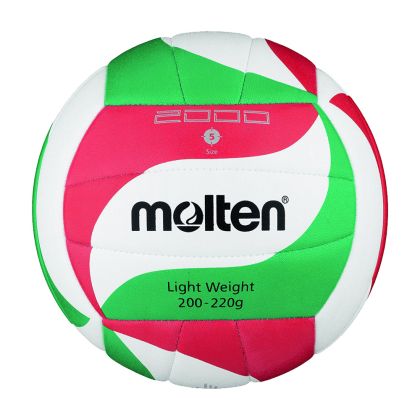 Molten Volleyball