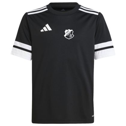 ASV Aufseß Workout Fußball Trikot 2024/2025