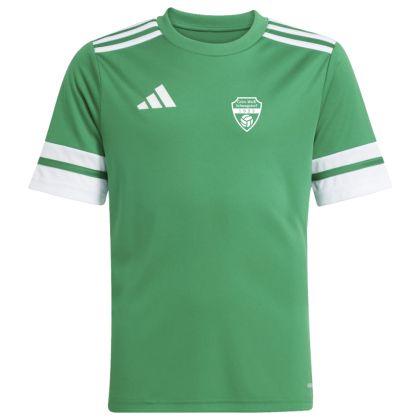 Grün-Weiß Schwagstorf Fußball Trikot 2025/2026