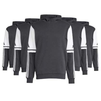 adidas Squadra 25 Hoody Set