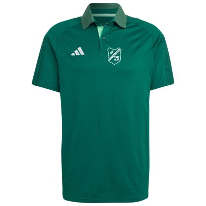 SV Alfhausen Poloshirt 23/24
