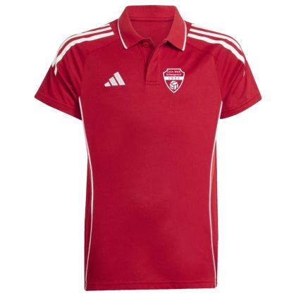 Grün-Weiß Schwagstorf Poloshirt 2025/2026