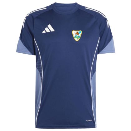 SpVgg Röhrmoos-Großinzemoos Fußball Herren Fußball Trikot 2025/2026