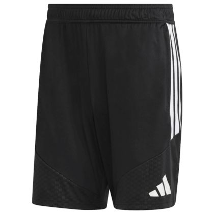 Badischer FV Schiedsrichter Trainingsshorts 2026/2027