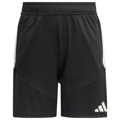 Badischer FV Schiedsrichter Trainingsshorts 2026/2027