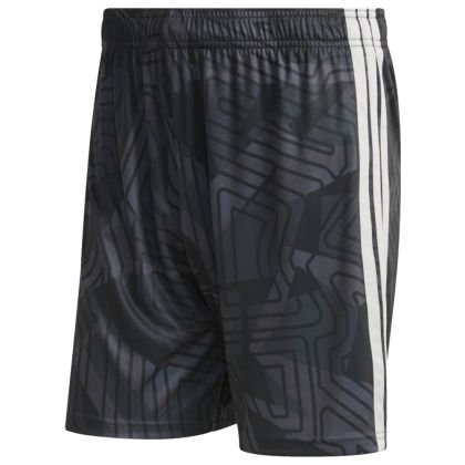 ETFA Academy standard Torwartshorts 2026/2027