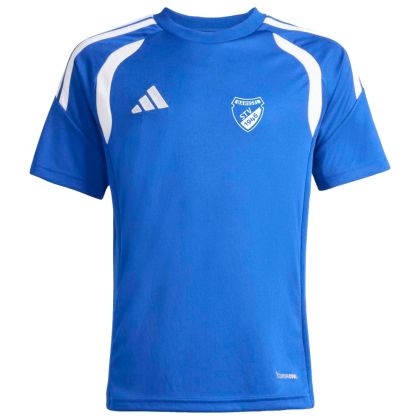 STV Barßel Trikot 2024/2025