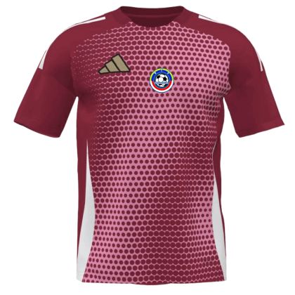 Tuchebander e.V. Fussball Trikot 2024/2025