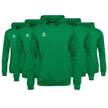 Hummel Hoody Set Authentic