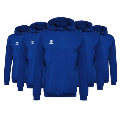 Hummel Hoody Set Authentic
