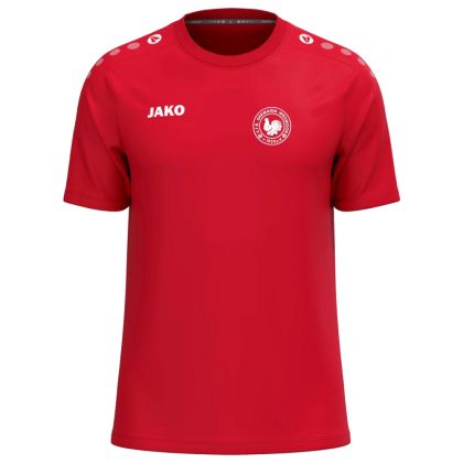 VfB Germania Wiesmoor One T-Shirt Cotton 2026/2027