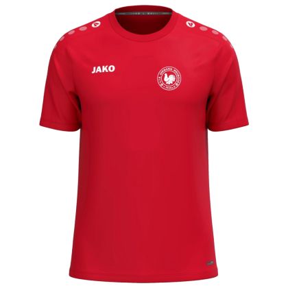 VfB Germania Wiesmoor One T-Shirt 2026/2027